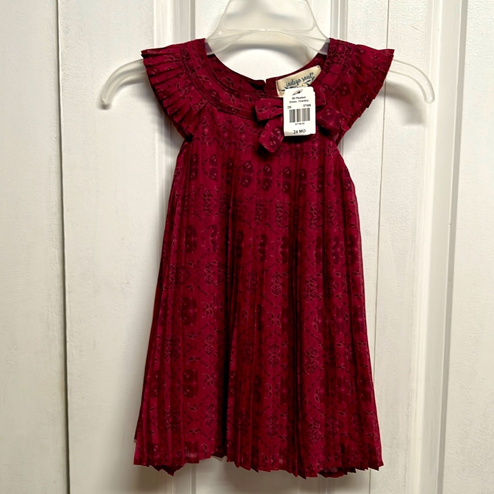 Indigo Soul Cranberry Floral Print Flutter Sleeve Pleated Holiday Dress 24M NWT